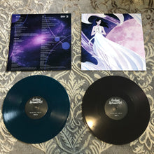 Load image into Gallery viewer, Worlds Away Vinyl